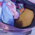 ™EveryDay Bag photo review